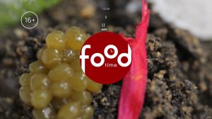 Мэтры вкуса. Новые серии по выходным на телеканале FoodTime