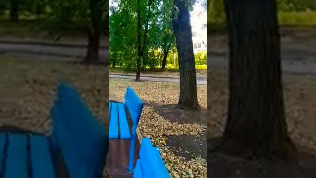 Жизненные формы растений смотреть онлайн