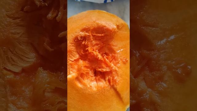 Зимняя тыква