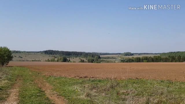 Деревенский vlog: очень много природы смотреть онлайн