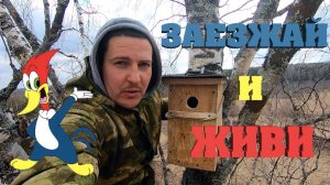 #15. Вопросы электрические. [Жизнь на своей земле]