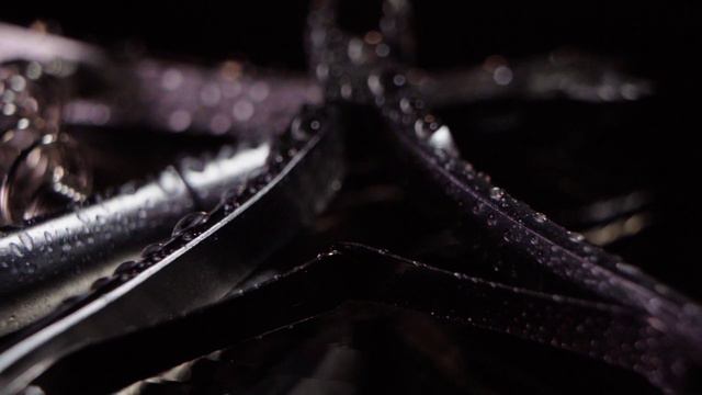Предметное видео смотреть онлайн