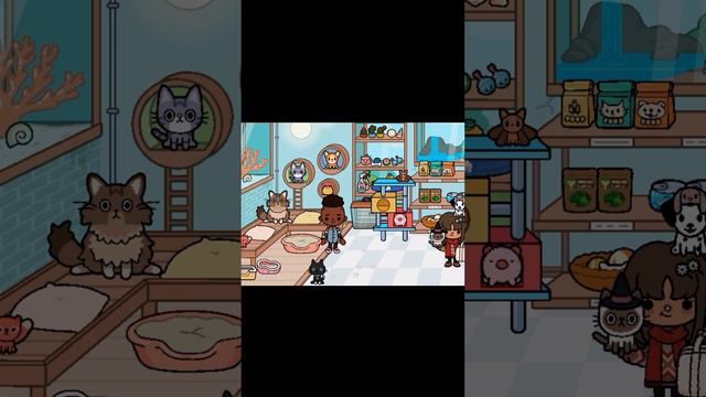 новые питомцы 🐈⬛