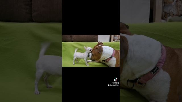 2022-07-11-131341812.mp4 смотреть онлайн