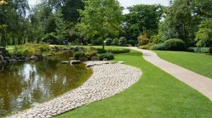 Сад на болотистом участке