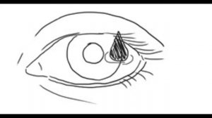 Штада Армения   Стиллавит глазные капли