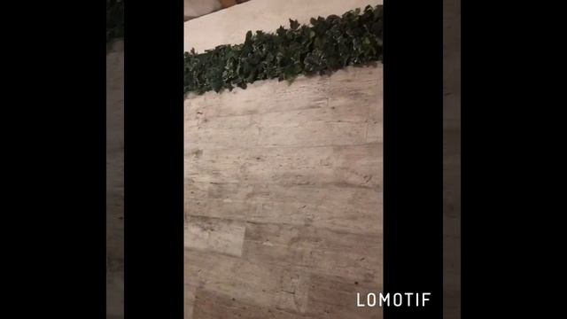 Фитостена в интерьере дома смотреть онлайн