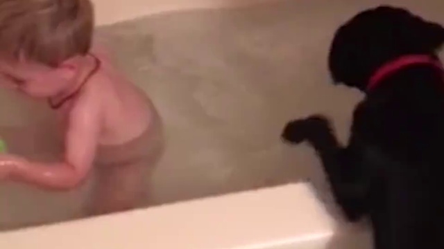 веселое купание смотреть онлайн