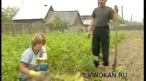 Байки Владимира Виноградова, вырезанное, часть третья