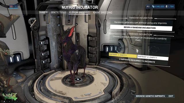 Warframe - Archives [Howl of the Kubrow] смотреть онлайн