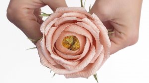 Нежные розы из гофрированной бумаги. Розы из конфет пошаговый видео мастер-класс