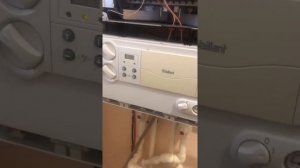 Вайлант ф33. Ошибка на котле F 33