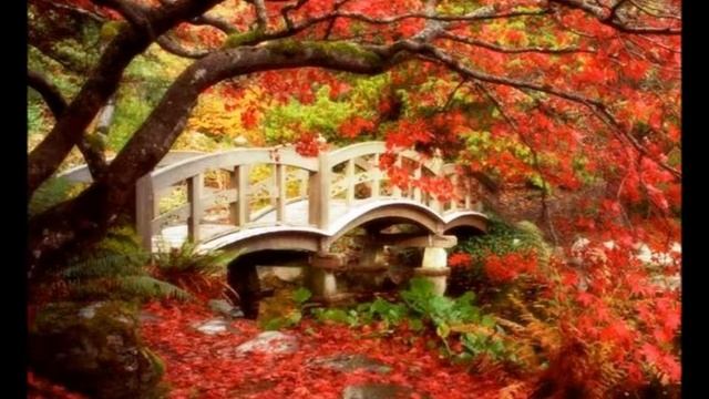 Ах, это танго! смотреть онлайн