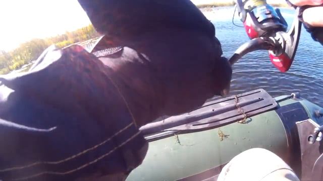 Щупак взял на Воблер TsuYoki HARD 130SP смотреть онлайн