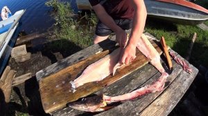 РАЗДЕЛКА ЩУКИ НА ФИЛЕ. ФИЛЕ ЩУКИ ЛЕГКО. ФИЛЕ ЩУКИ САМЫЙ ПРОСТОЙ СПОСОБ. РАЗДЕЛКА РЫБЫ БЕЗ КОСТЕЙ