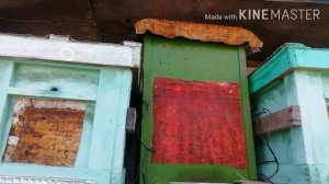 Ловушки для ловли пчелиных роев/Первый весенний облет пчел