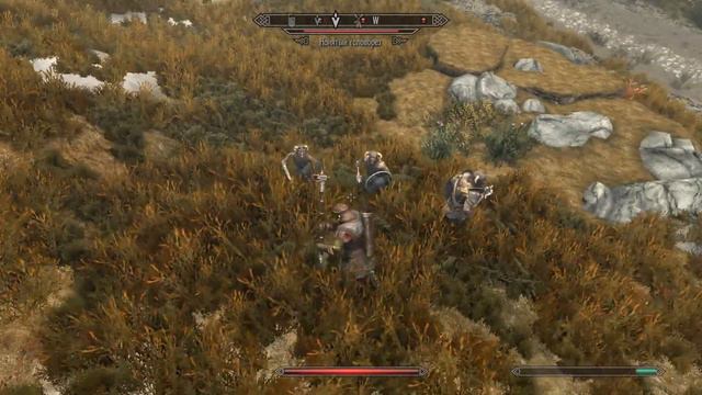 TES V Skyrim SE #5 Помогаем Цицерону. смотреть онлайн