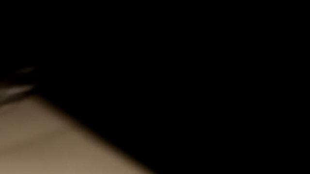 Changing Crank Bearings on a Puch E50 Engine смотреть онлайн