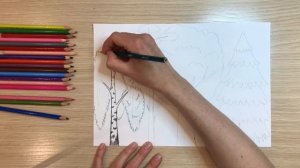 Лес рисунок. Рисунок берегите лес Как нарисовать лес Деревья дерево карандашом береза дуб сосна ель