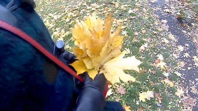 Осенняя фотосессия (Backstage) смотреть онлайн