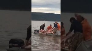 Рыбалка сетями на лосось Промысловый лов