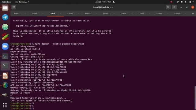 Install ipfs-bch-wallet-service смотреть онлайн