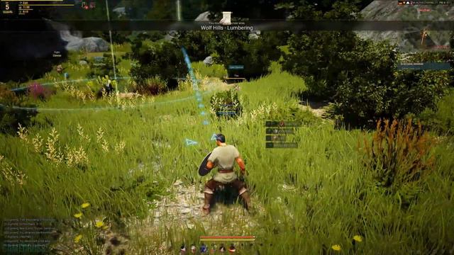 Black Desert Online Alpha ULTRA Settings Gameplay (1080p60FPS) смотреть онлайн