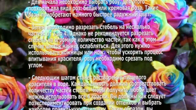 Бизнес идея изготавливаем разноцветные радужные розы – новый товар на рынке флористики смотреть онлайн