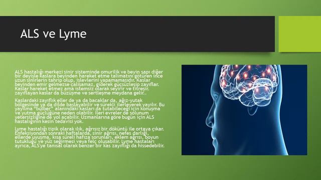 Lyme ELISPOT Test Yöntemi (Lyme İstanbul Klinik) смотреть онлайн
