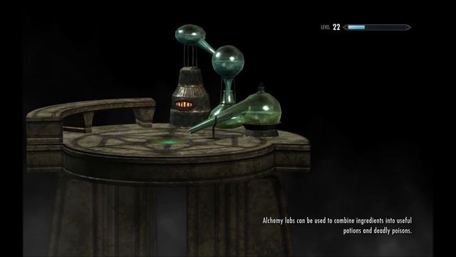 Elder Scrolls IV: Skyrim (Marriage To Hroki)