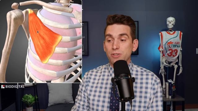 Cody Rhodes Ruptures Pec and Beats Seth Rollins - Doctor Reacts смотреть онлайн