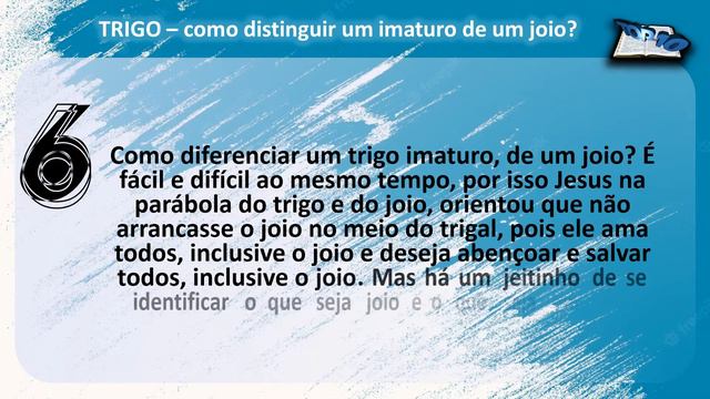 M0057 TRIGO – como distinguir um imaturo de um joio? смотреть онлайн