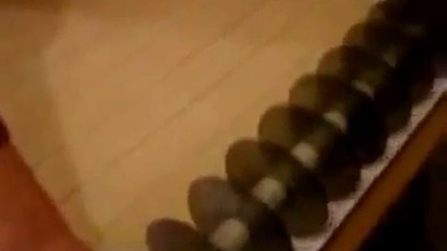 Видео работы ручной скалки для нарезки теста смотреть онлайн