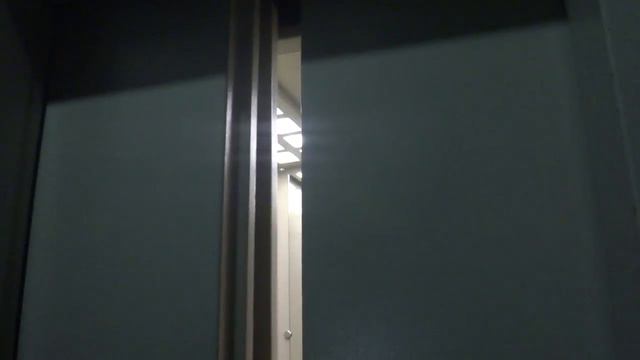 Электрический лифт V=1 м-с, грузоподъемность 400 кг (2284), музыкальный лифт Ecomaks