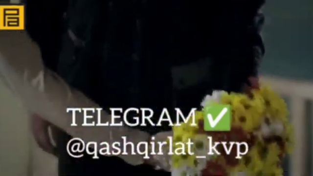 Qashqirlar Makoni 518-qism