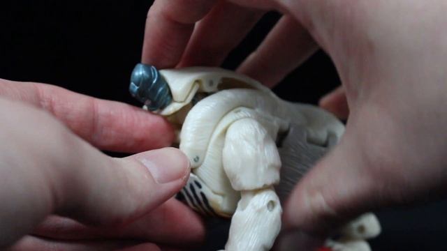 Transformers - "Mutant Beast Wars" Icebird Review смотреть онлайн