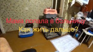 МАМА В БОЛЬНИЦЕ ЧТО ДЕЛАТЬ? КАК ЖИТЬ ДАЛЬШЕ?