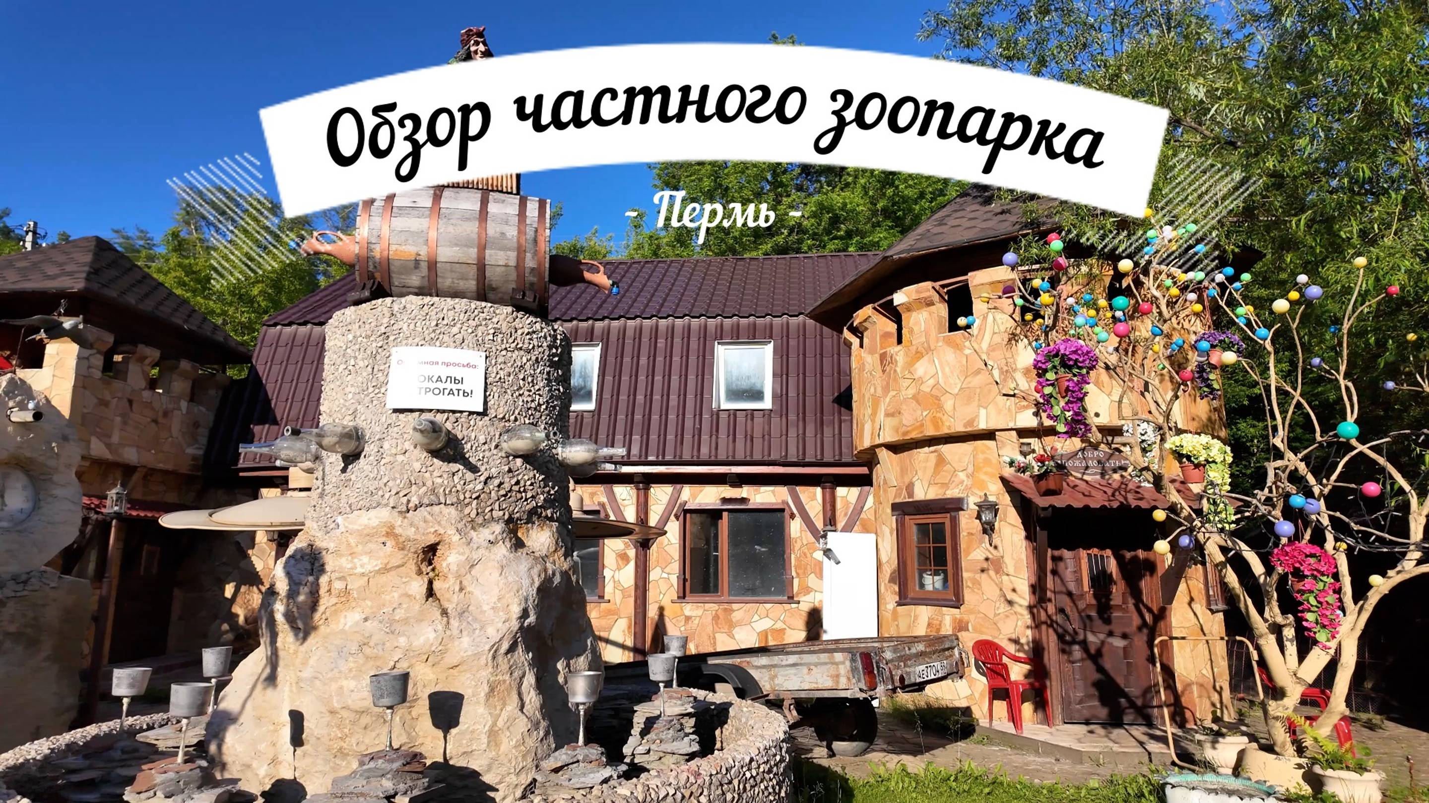 Обзор частного зоопарка Перми смотреть онлайн