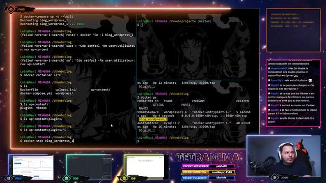 Installation d'un site Wordpress - Stream interactif ! - twitch.tv/tetranima смотреть онлайн