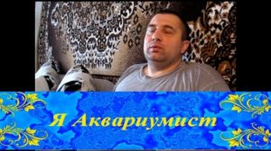 Герметик Силиконовый для аквариумов (все о герметиках)