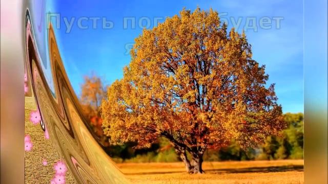 С Днём автомобилиста друг Алексей ! смотреть онлайн