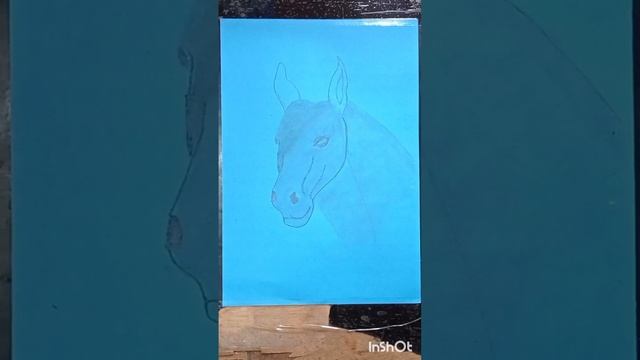 How to Draw a Horse / Horse Drawing step by step смотреть онлайн