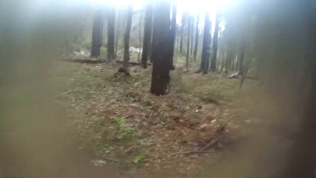 Пейнтбол Юкки парк смотреть онлайн