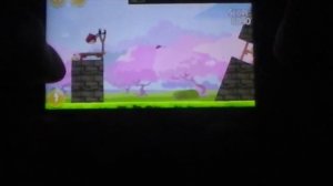 Обзор Angry Birds Seasons.Егор Муратов
