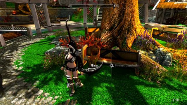 Skyrim (Xbox One) Immersive Speechcraft Mod (Link In Description)