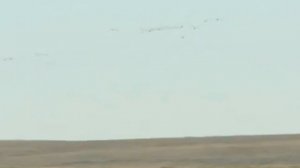 Этнокалендарь «Традиции и праздники народов России». Обычаи народов Севера