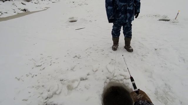 ПЕРВЫЙ ЛЕД 2021-2022!!! ПОКЛЁВКИ Щуки и Сига!!! смотреть онлайн