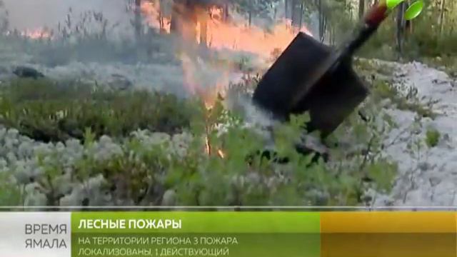 Борьба за лес. За сутки на Ямале потушено 2 пожара смотреть онлайн