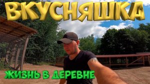 +1 помощник в хозяйстве ! Навесной экскаватор. [Жизнь в деревне]