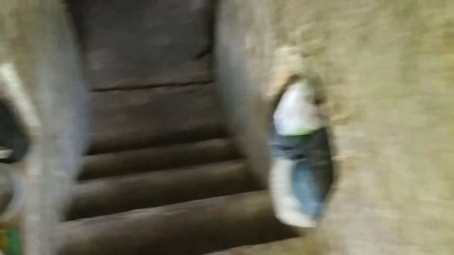 33 литра меда из 3 ульев. Ура !!! Медосбор !!! Качаем мед в июне 2021 года смотреть онлайн